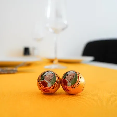 Casa de hóspedes Citysuites Salzburg, Budget Stay, Next To Center And Old Town, Shared Spaces *