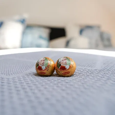 Citysuites Salzburg, Budget Stay, Next To Center And Old Town, Shared Spaces * 萨尔茨堡