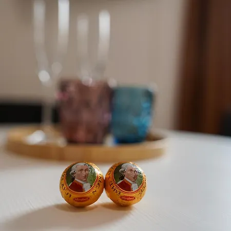 Citysuites Salzburg, Budget Stay, Next To Center And Old Town, Shared Spaces *