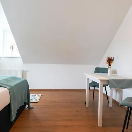 Citysuites Salzburg, Budget Stay, Next To Center And Old Town, Shared Spaces 招待所 *