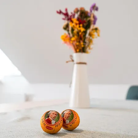 Citysuites Salzburg, Budget Stay, Next To Center And Old Town, Shared Spaces